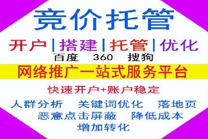 电商SEM推广案例解析
